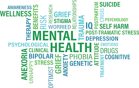 BASES Mental Health in Sport and Exercise training developments